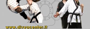 Corso di HAPKIDO  c/o DIVYA ACADEMY MILANO