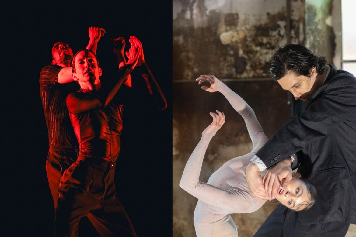 I have seen that face before | Dive