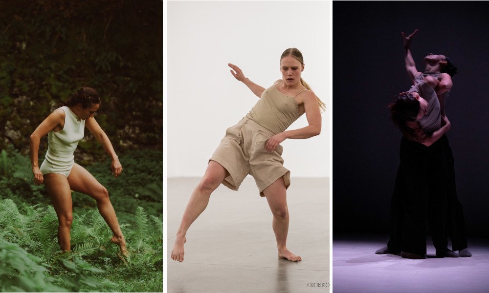 Noa | Trust | Hyphae - Polifonia del sottobosco