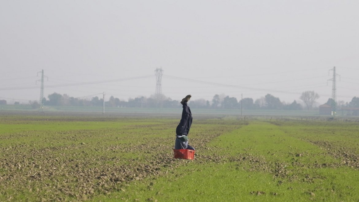 Sogni al campo