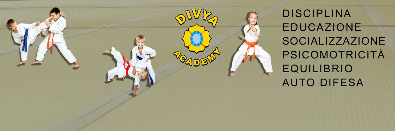 JU JITSU FOR ALL !!!