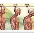 Postural tone