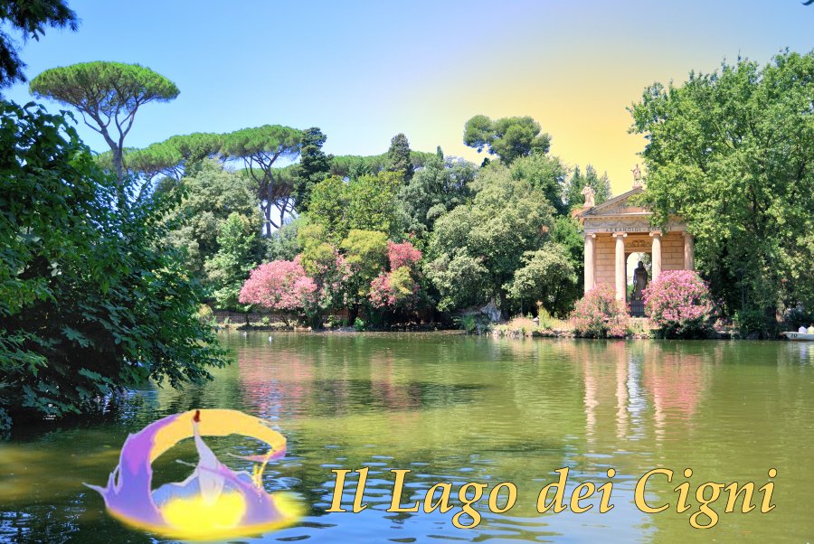 Il lago dei cigni a Villa Borghese