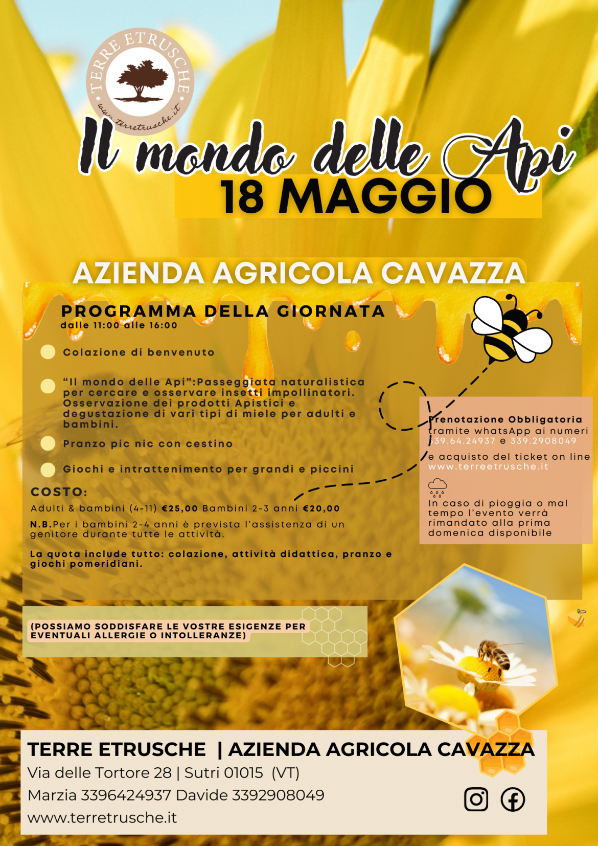 Il mondo delle api