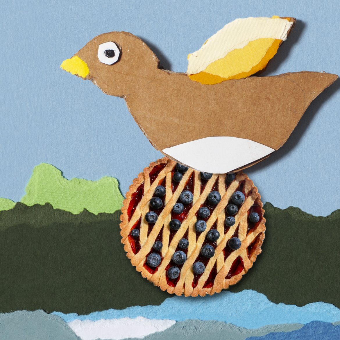 La Principessa Cincillà e la torta di compleanno