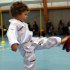 Taekwondo Cuccioli 3-5 anni