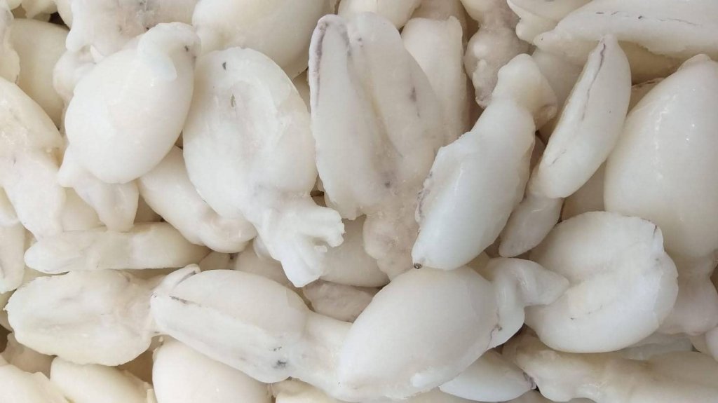 Jesi - Sconto 30% Seppia Indopacifica Pulita Piccola | Sapore di Mare | Jesi, Via Bordoni, 7 | Tel. 0731 208745 | Offerta valida fino al 30/04/19 Jesi - Sconto 30% Seppia Indopacifica Pulita Piccola | Sapore di Mare | Jesi, Via Bordoni, 7 | Tel. 0731 208745 | Offerta valida fino al 30/04/19