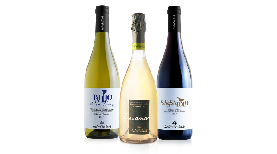 Jesi - Sconto 30% su 6 Bottiglie di Vino | Monte Schiavo Eno Outlet | Jesi, Viale della Vittoria 31/C | Tel. 0731 1943010 | Offerta valida fino al 30/04/19 Jesi - Sconto 30% su 6 Bottiglie di Vino | Monte Schiavo Eno Outlet | Jesi, Viale della Vittoria 31/C | Tel. 0731 1943010 | Offerta valida fino al 30/04/19