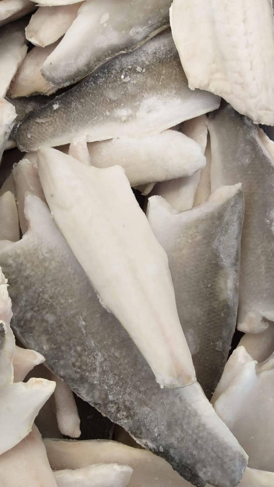 Jesi - Sconto 10% Filetto di Branzino con Pelle | Sapore di Mare | Jesi, Via Bordoni, 7 | Tel. 0731 208745 | Offerta valida fino al 31/05/19 Jesi - Sconto 10% Filetto di Branzino con Pelle | Sapore di Mare | Jesi, Via Bordoni, 7 | Tel. 0731 208745 | Offerta valida fino al 31/05/19