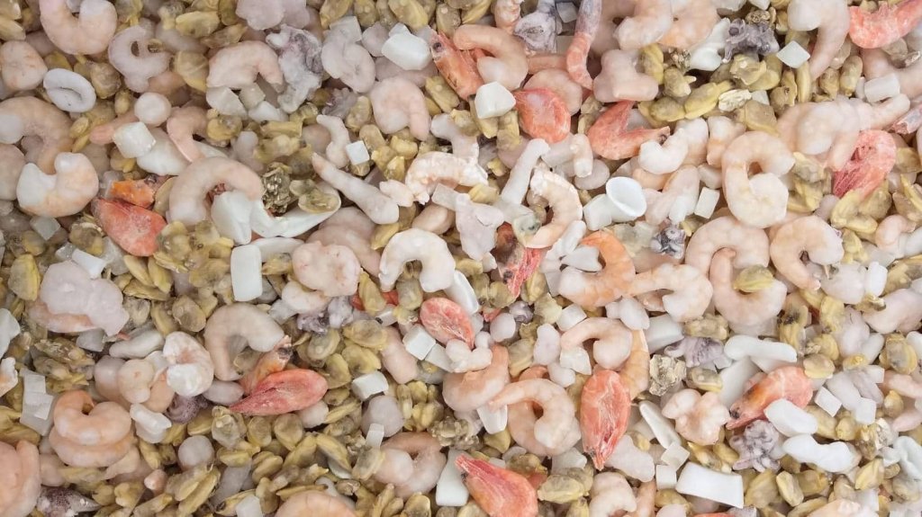 Jesi - Sconto 15% Misto per Primi Piatti | Sapore di Mare | Jesi, Via Bordoni, 7 | Tel. 0731 208745 | Offerta valida fino al 31/05/19 Jesi - Sconto 15% Misto per Primi Piatti | Sapore di Mare | Jesi, Via Bordoni, 7 | Tel. 0731 208745 | Offerta valida fino al 31/05/19