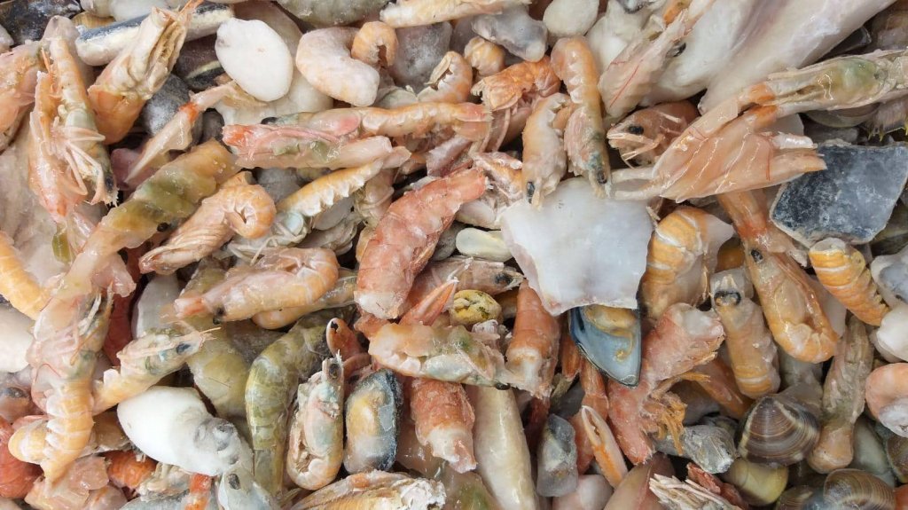 Jesi - Sconto 15% Pentolaccia | Sapore di Mare | Jesi, Via Bordoni, 7 | Tel. 0731 208745 | Offerta valida fino al 31/05/19 Jesi - Sconto 15% Pentolaccia | Sapore di Mare | Jesi, Via Bordoni, 7 | Tel. 0731 208745 | Offerta valida fino al 31/05/19