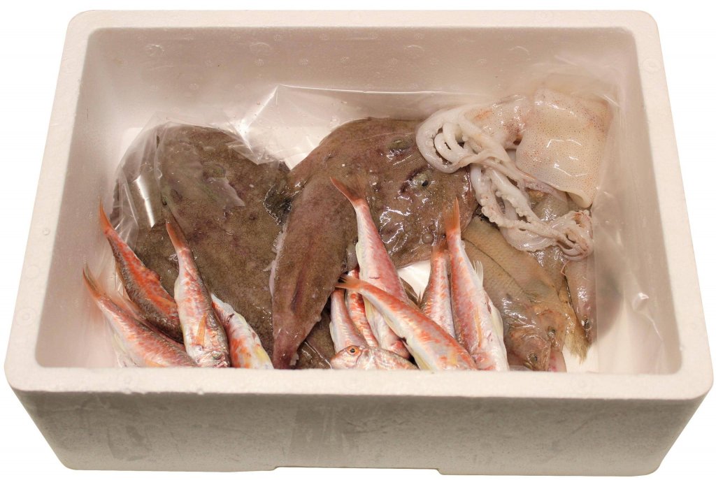 Jesi - Sconto 5€ sul Tuo Primo Ordine | Pesce Nostro | Viale Don Minzoni 3 | Tel. 0731299084 | Offerta valida fino al 31/05/19 Jesi - Sconto 5€ sul Tuo Primo Ordine | Pesce Nostro | Viale Don Minzoni 3 | Tel. 0731299084 | Offerta valida fino al 31/05/19