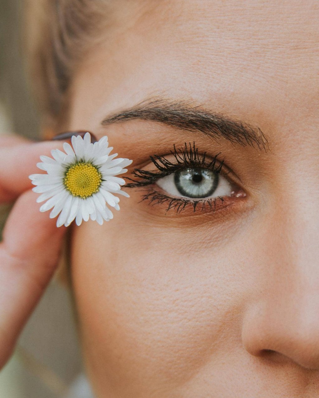 Jesi - Trattamento Speciale ISHI Pulizia viso per rinnovo cellulare eur 40I Chloé Tattoo Estetica Parrucchieria | Jesi, Piazzale Ciabotti 8 | Tel. 3939994393 | Offerta valida fino al 30/11/19 Jesi - Trattamento Speciale ISHI Pulizia viso per rinnovo cellulare eur 40I Chloé Tattoo Estetica Parrucchieria | Jesi, Piazzale Ciabotti 8 | Tel. 3939994393 | Offerta valida fino al 30/11/19