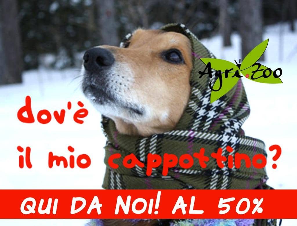 Monsano - Sconto 50% Cappottini per Cani | Agri Zoo | Monsano, Via Liguria, 23 | Tel. 0731605240 | Offerta valida fino al 31/10/19 Monsano - Sconto 50% Cappottini per Cani | Agri Zoo | Monsano, Via Liguria, 23 | Tel. 0731605240 | Offerta valida fino al 31/10/19