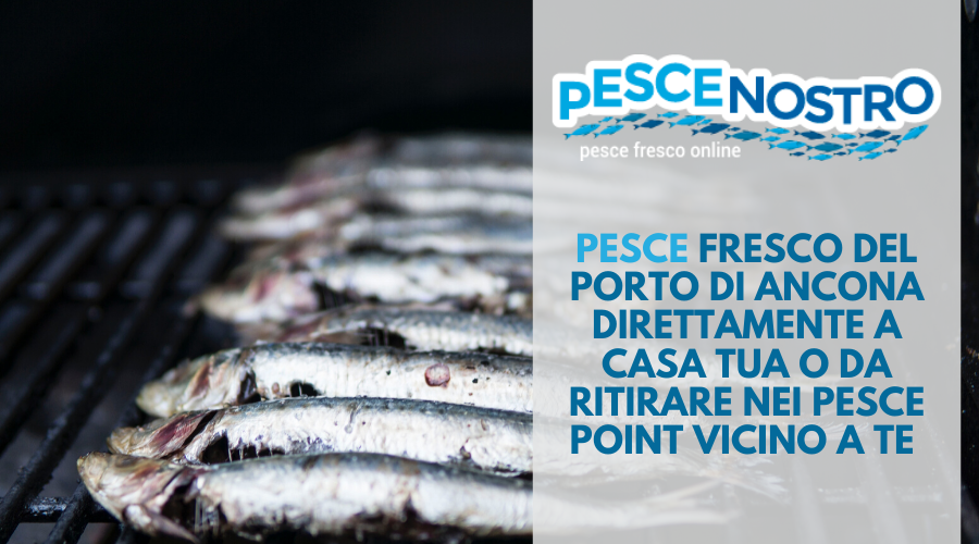 Jesi - Pesce Fresco a Domicilio | Pesce Nostro | Viale Don Minzoni 3 | Tel. 0731299084 Jesi - Pesce Fresco a Domicilio | Pesce Nostro | Viale Don Minzoni 3 | Tel. 0731299084
