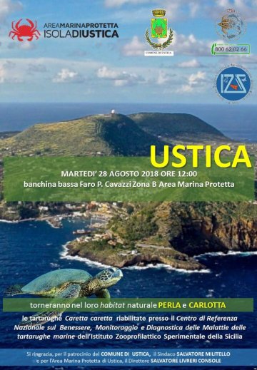 Tornano in mare a Ustica dopo le cure due tartarughe Caretta Caretta