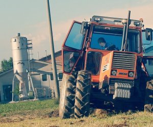 La Sicilia al primo posto in Italia per numero di aziende agricole gestite da giovani