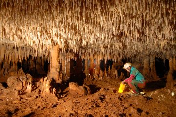 Grotta di Carburangeli, un affascinante bosco sotterraneo