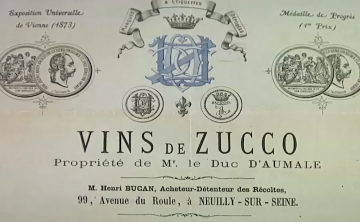 La storia dello Zucco, il vino siciliano esclusivo e pregiato che pochi conoscono