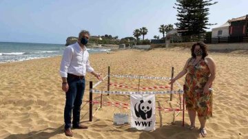 In Sicilia il primo nido di tartaruga Caretta caretta del 2021