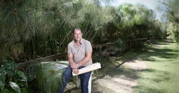 È l'ultimo produttore di carta da papiro della Sicilia: Angelo e il suo sogno dedicato al nonno