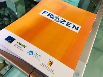 Frozen, la Regione promuove la qualità del pescato siciliano congelato a bordo