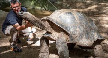 In Sicilia scoperti i resti di una tartaruga gigante: 