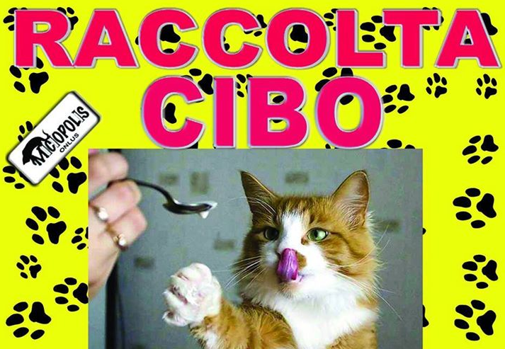 Raccolta CIBO Maxizoo