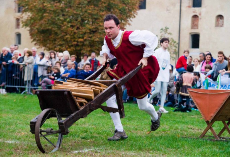 XXXVIII PALIO DELLE CONTRADE DI VIGEVANO