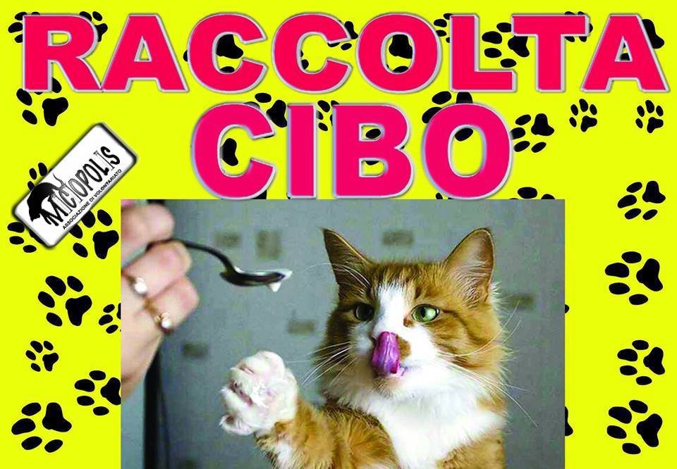 Raccolta Cibo Arcaplanet - Miciopolis