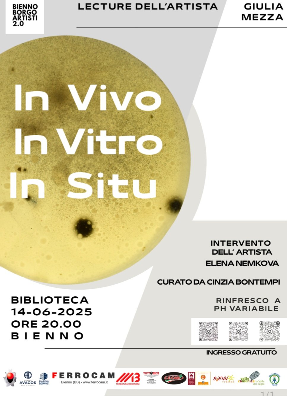 IN VIVO IN VITRO IN SITU