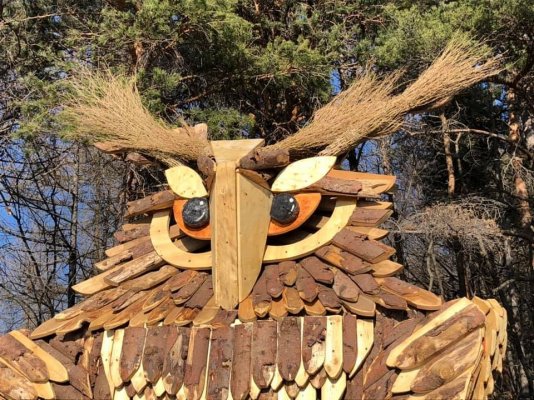 The Quercus Wood and Rocco, the giant Owl