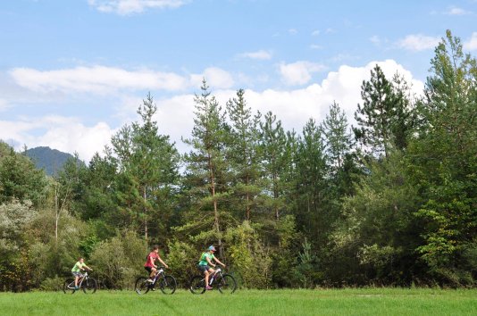 E Bike con Guida e Maestro di Mtb - Giornata Intera