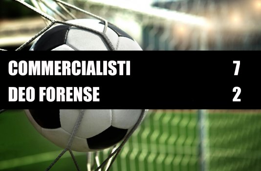 Commercialisti - Deo Forense  7 - 2