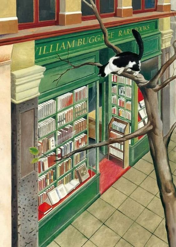 Cinque proposte operative per salvare le librerie in Italia