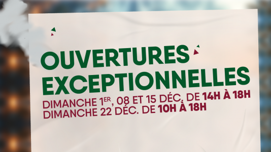 En route pour la magie de Noël